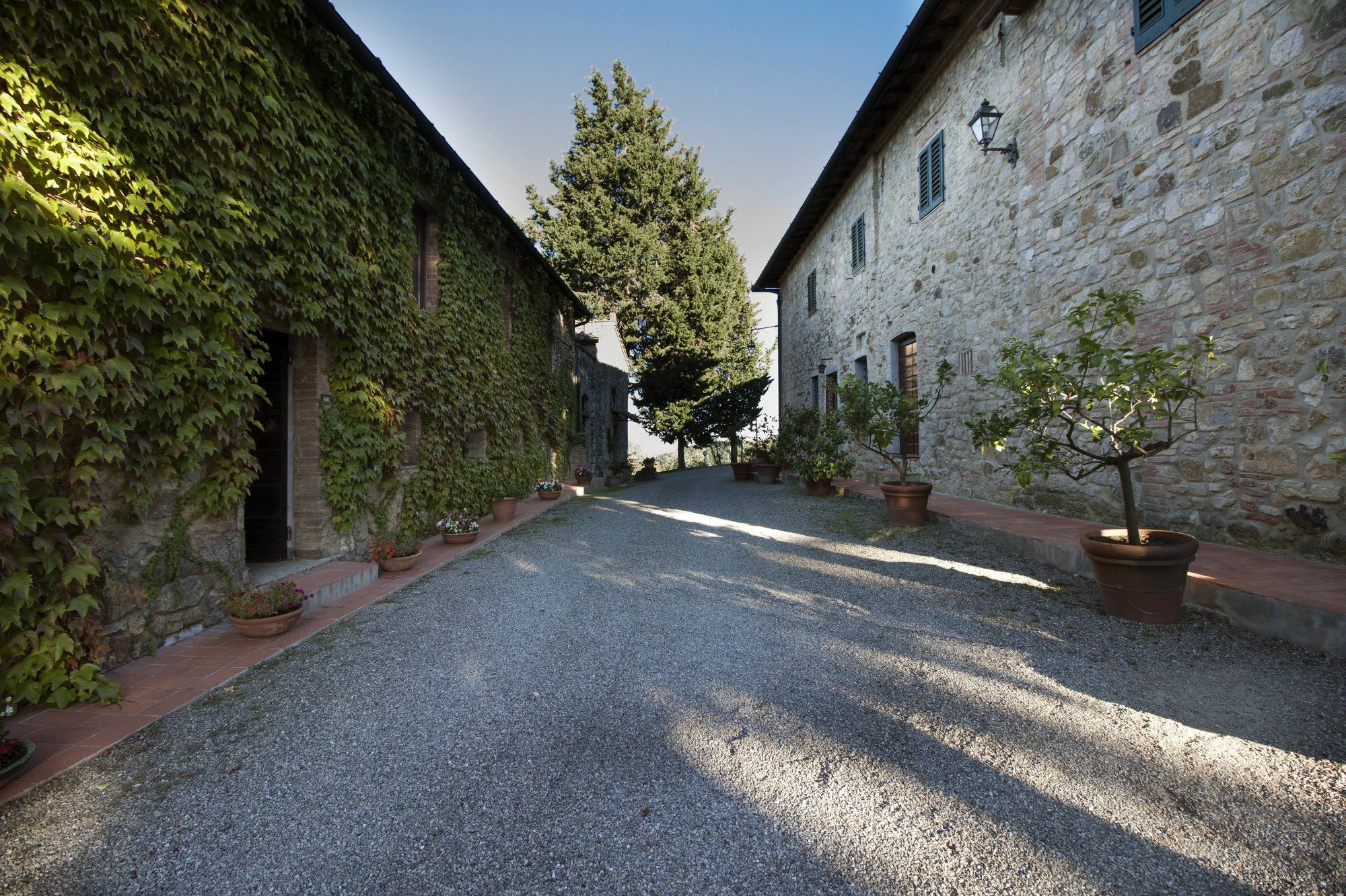 B&B La Torre - Fattoria Di Larniano Сан Джиминяно Екстериор снимка